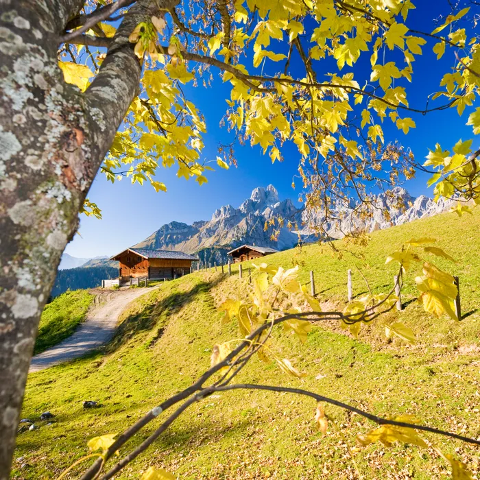 Holzhütten auf grünem Hügel mit Herbstlaub und Bergpanorama im Hintergrund
